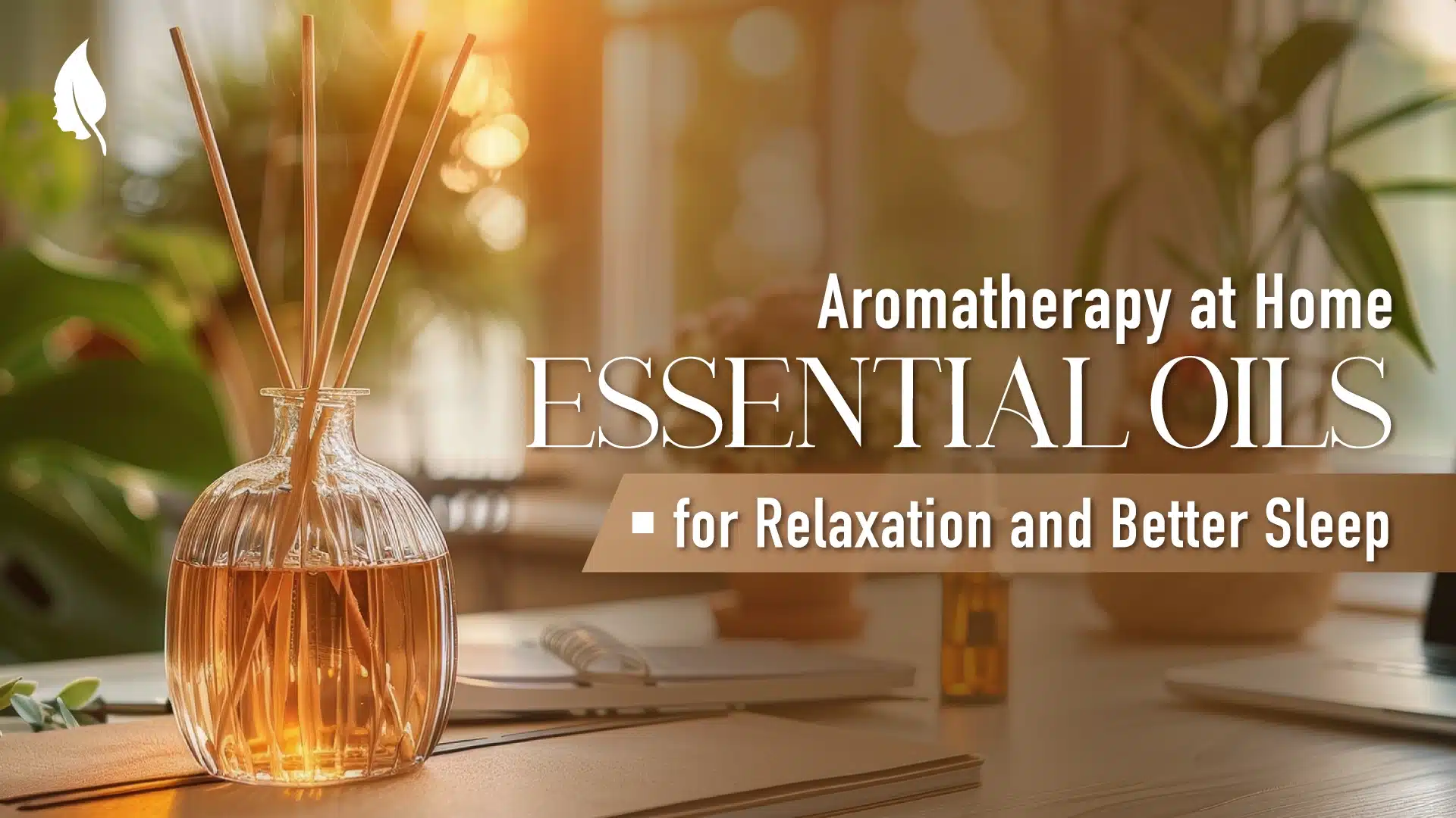 Aromatherapy at Home: Essential Oils for Relaxation and Better Sleep